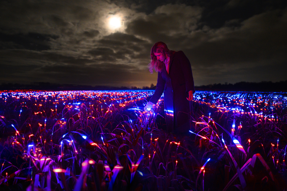 Other images of Grow, the light installation by Daan Roosegaarde