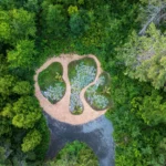 La 24a edizione dell’International Garden Festival