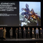 Inequalities, the program of the 24th International Exhibition of Triennale Milano