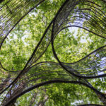 Art and Architecture in nature: OCA Oasy Contemporary Art opens in Tuscany
