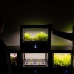 Design biofilico e tecnologia educativa: la visione di Samuel Peabody