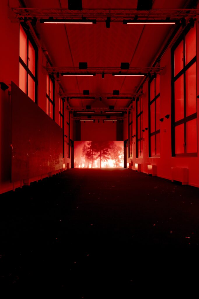 Circolo UltraFiorucci