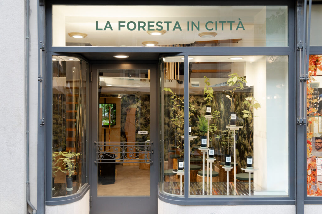 Foresta in Città