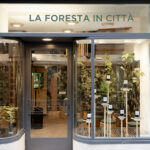 Trieste goes green: introducing “Foresta in Città,” the 30 sqm forest