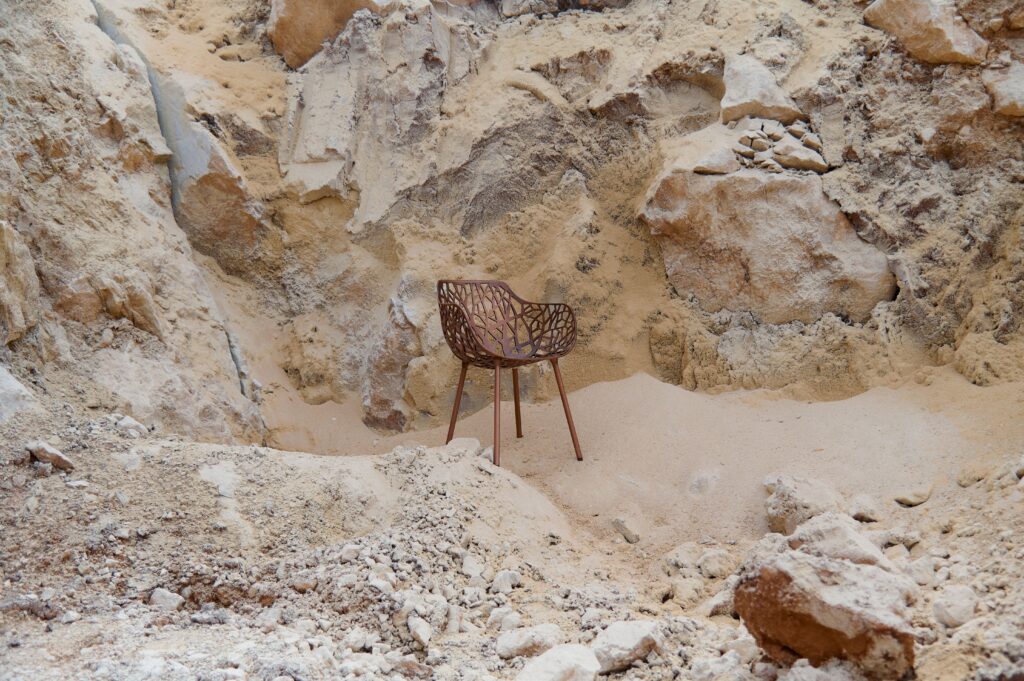 Fast Forest Limited Edition