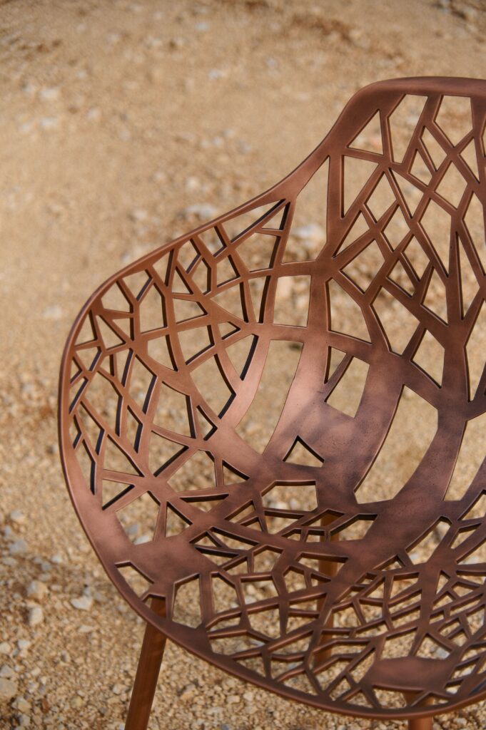 Fast Forest Limited Edition