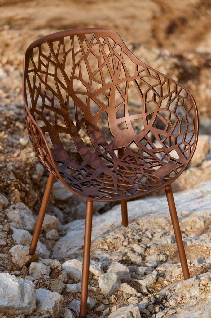 Fast Forest Limited Edition