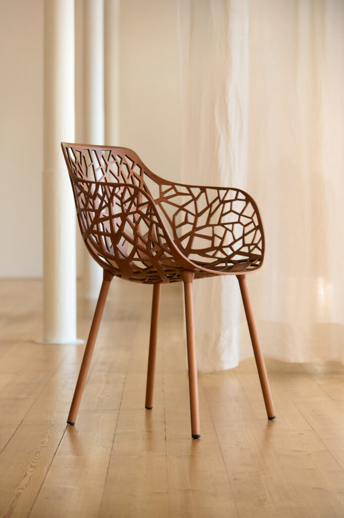 Fast Forest Limited Edition