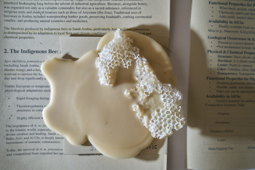 AlUla Design Award 2025