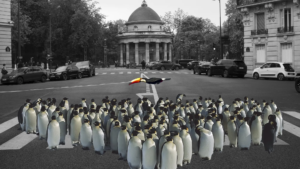 fauna selvatica urbana