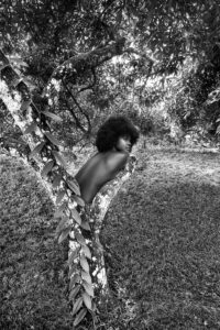 Fotografia d'arte contemporanea