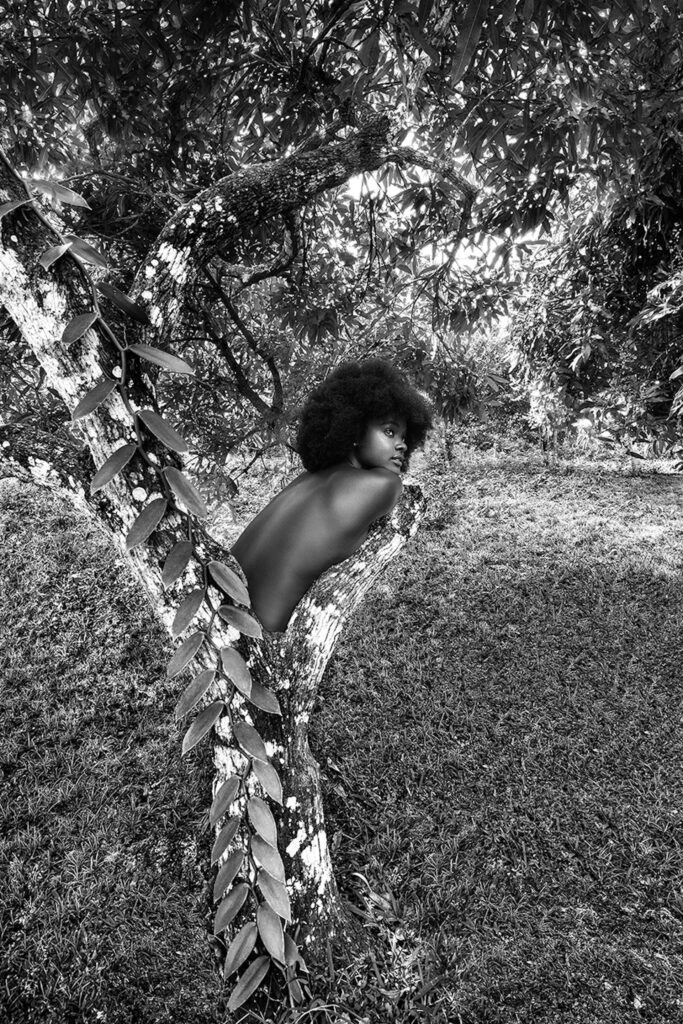 Fotografia d'arte contemporanea